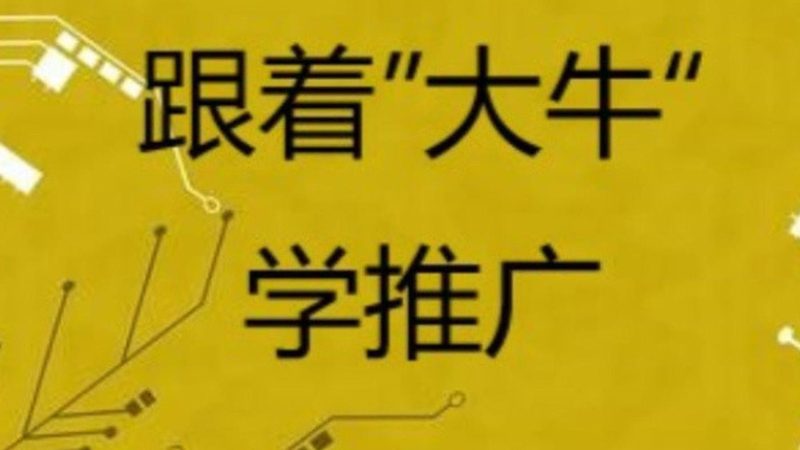 全网营销：避开这些误区，让你的预算花得更有价值